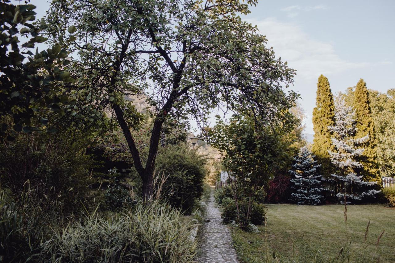 Vila Missy Deva Dış mekan fotoğraf